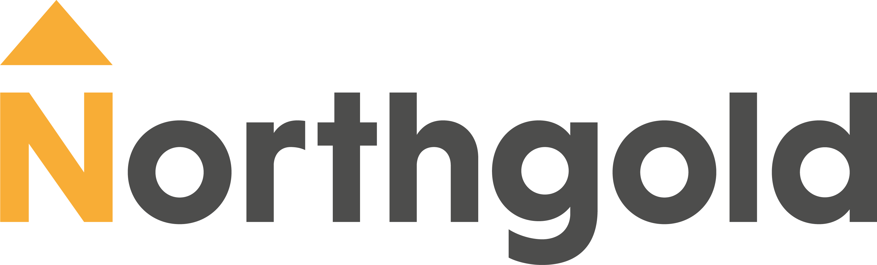 Northgold logo